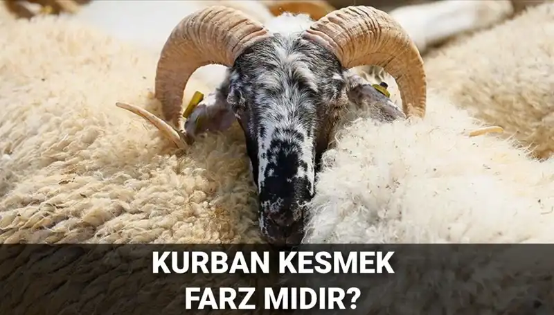 Kurban Kesmek Farz mı? Diyanet'ten Cevap ve Şartlar!