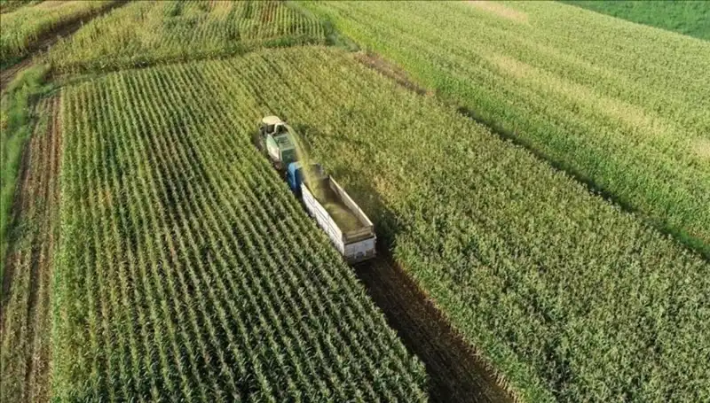 2025 Mart Ayında Mazot ve Gübre Desteği Ödemeleriyle İlgili Son Gelişmeler