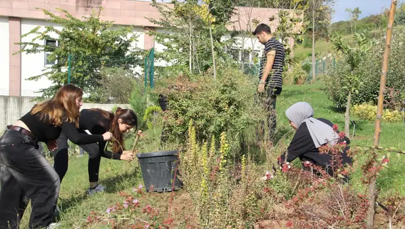 Düzce'nin Yıldızı Parladı: Hayalden Gerçeğe Ulaşan Başarı Hikayesi