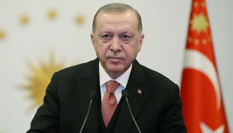 Cumhurbaşkanı Erdoğan'ın NATO Zirvesi'nde Alacağı Rol ve Beklentiler