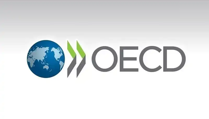 OECD, Türkiye'nin Ekonomik Büyüme Tahminini Güncelledi!