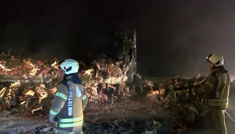 Çilek Yüklü TIR’da Korkunç Yangın: 6 Ton Meyve Kül Oldu