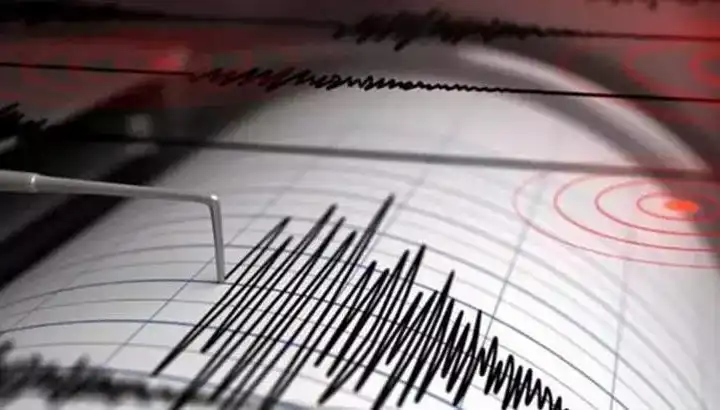 Tonga Açıklarında 7,1 Büyüklüğünde Deprem: Tsunami Alarmı ile Sandalyeler Sarsıldı