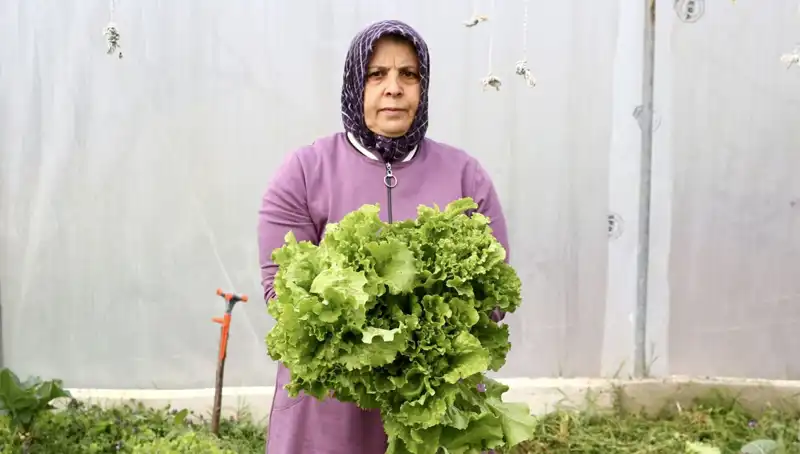 Emekli Oldu, Hayallerini Devlet Desteğiyle Gerçekleştirdi: Memleketine Dönüş Hikayesi