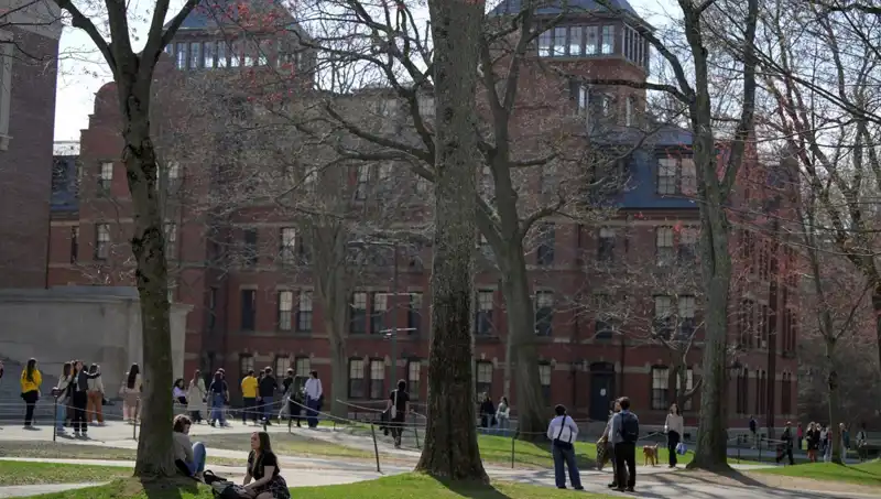 Harvard’ın Yabancı Öğrenci Kayıt Yetkisi Tehlikede: Neler Oluyor?
