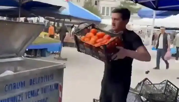 Pazarcının Domatesleri Çöpe Atması Şok Etkisi Yarattı: Hakkında Kültürel Bir Cezalandırma Verildi