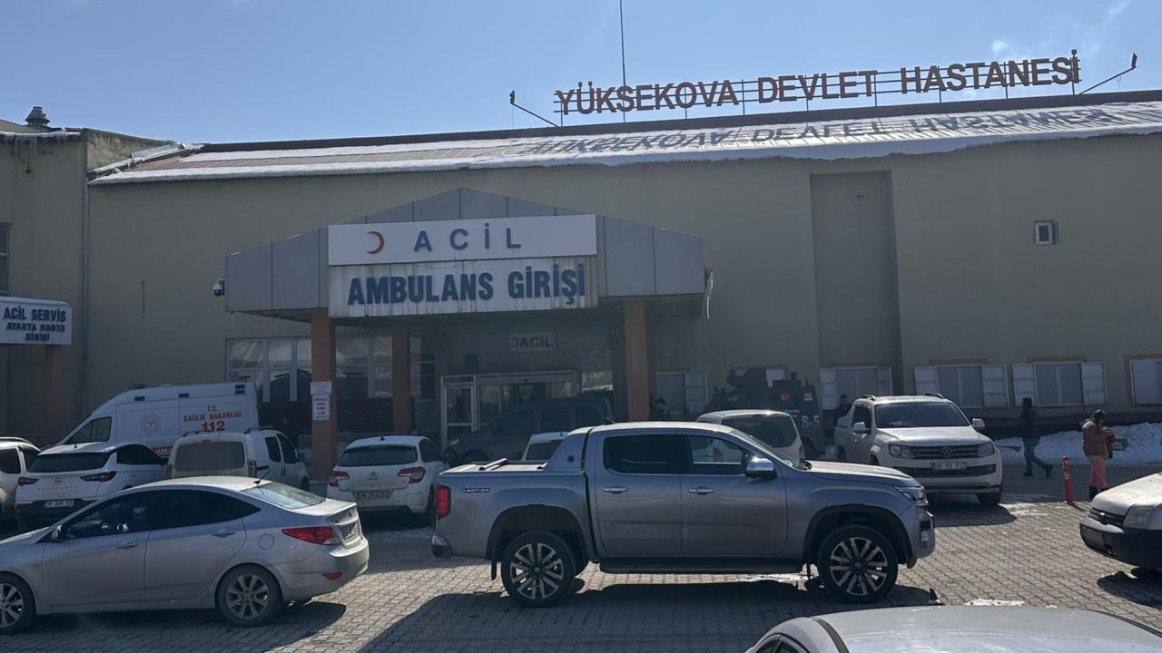 Başıboş köpeklerin saldırısı sonucu hayatını kaybeden çocuk için müfettiş görevlendirildi.