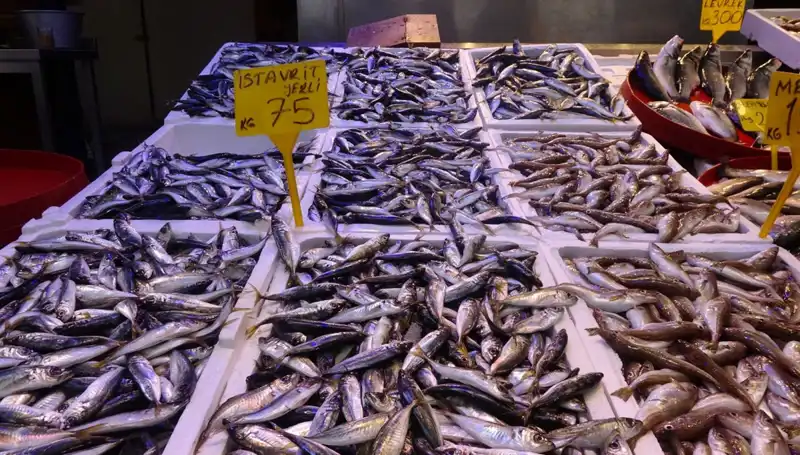 Balık Sezonu Sona Eriyor: Tutulan Balıkların Son Durumu Nedir?