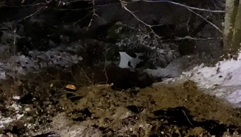 İnegöl'de Meydana Gelen Feci Kaza: Uçurumdan Düşen Araçta Mucizevi Kurtuluş!