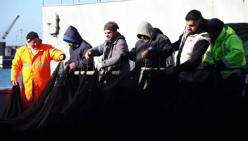 Hamsi Avında Şok: Tekneler Neden Erken Dönmeye Zorlandı?