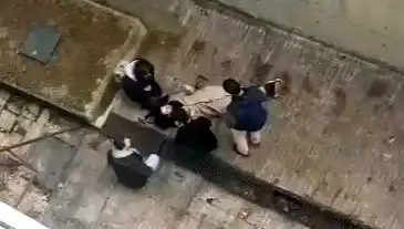 Üniversite Kampüsünde Köpek Paniği: 4 Metreden Betona Düşen Öğrenci Yürekleri Ağza Getirdi