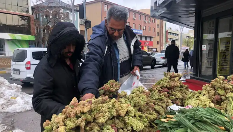 Kendiliğinden Yetişen Vitamin Deposunu Keşfedin: Kanserle Mücadelede Yeni Umut