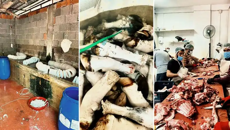 Adana'da Şoke Eden Olay: Yüzlerce Kilo Kaçak Paça Ele Geçirildi!