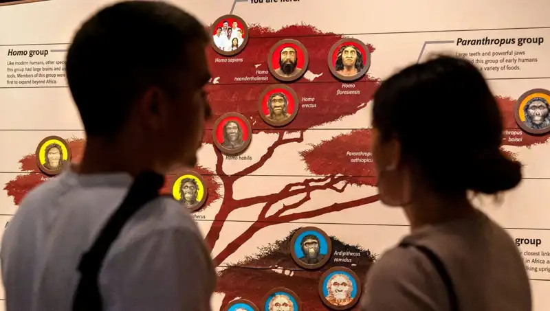 Modern İnsanların Yok Olmaktan Kurtuluşunun Sırları Gün Yüzüne Çıktı