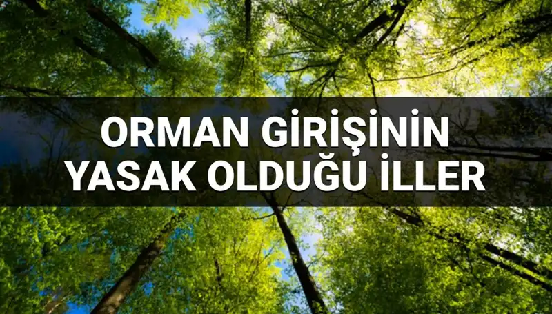 2025'te Ormana Girişin Yasaklandığı İller Belirlendi