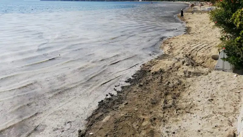 Müsilajla Mücadelede Sonuçlar: 268 İşletme Faaliyetlerine Ara Vermek Zorunda Kaldı