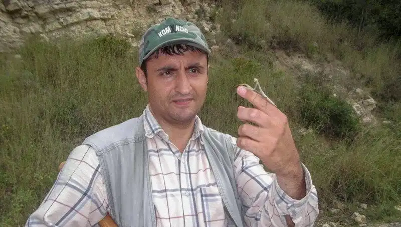 Keşfedilen Yeni Böcek Türü: Bilim Adamı Eşinin İsmini Verdi