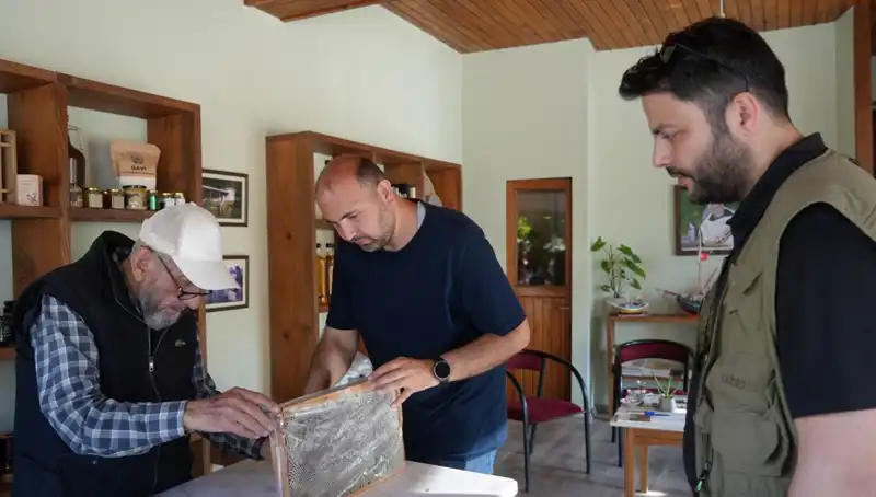 Doktor Tavsiyesiyle Tüketilmesi Gereken Şifalı ve Tehlikeli Besin: Dikkat!