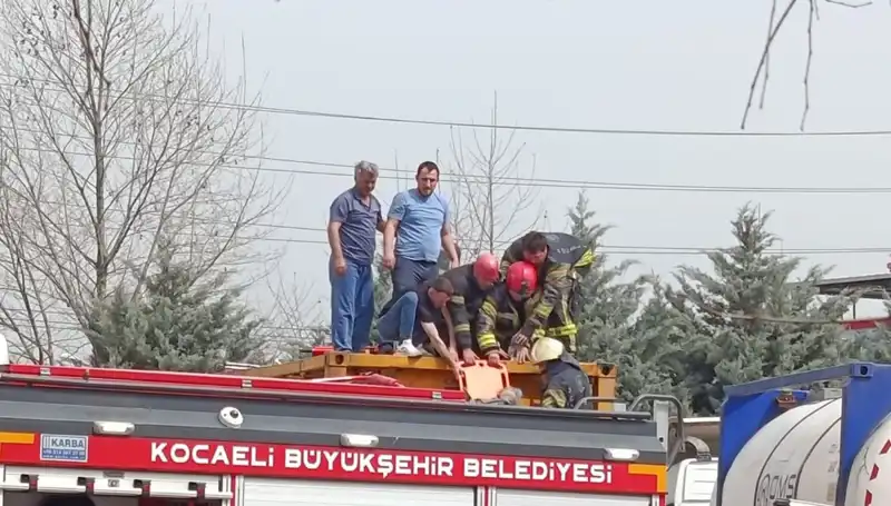 Tehlikeli Madde Taşıyan TIR, Tankın İçine Düştü: Yaralılar ve Olayın Ayrıntıları